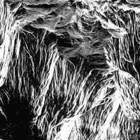 pislices art loop 3d trippy GIF