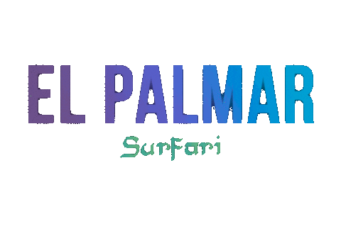 smoke playa Sticker by SurfariShisha