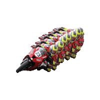 Racing Winning Sticker by Virgilio