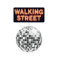 Wild Party Fun Sticker by Concept Holidayz