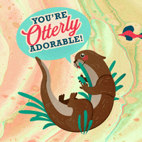 SquatchandSiren fish florida otter squatch and siren GIF