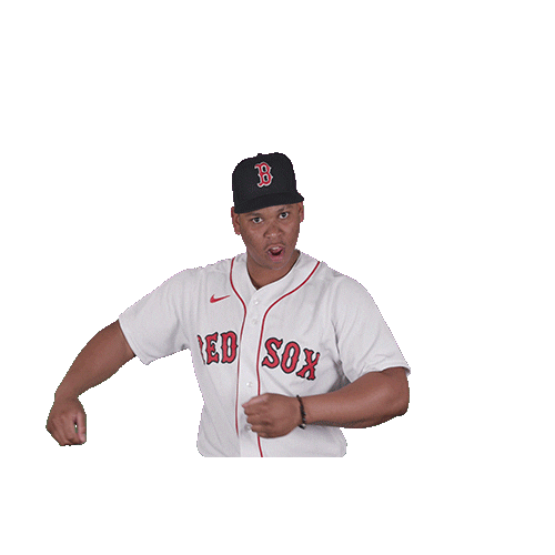 Red Sox Baseball Sticker by Boston Red Sox