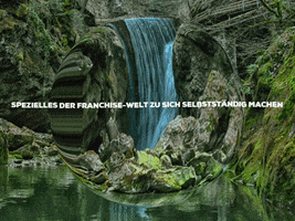 Happy Laugh GIF by FranchiseONE.de