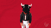 Nfl Idk GIF by Houston Texans