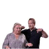 Radio Fijnfisjenie Sticker by Omroep Brabant