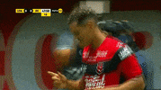 GIF by TD Más