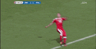 euro 2016 GIF by Sporza