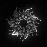 Black And White Art GIF by xponentialdesign
