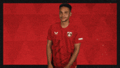 Fc Kaiserslautern Football GIF by Bundesliga