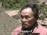 迷因 GIF