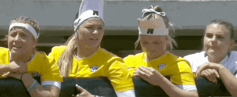 James Madison Softball GIF by NCAA Championships