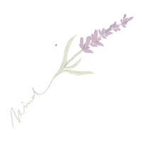 Lilit Sticker by The dUCk Group