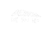 Fun Design Sticker