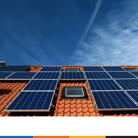 JasSunEdison giphyupload GIF