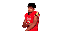 College Football Sticker by Maryland Terrapins
