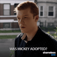 episode 5 showtime GIF by Shameless