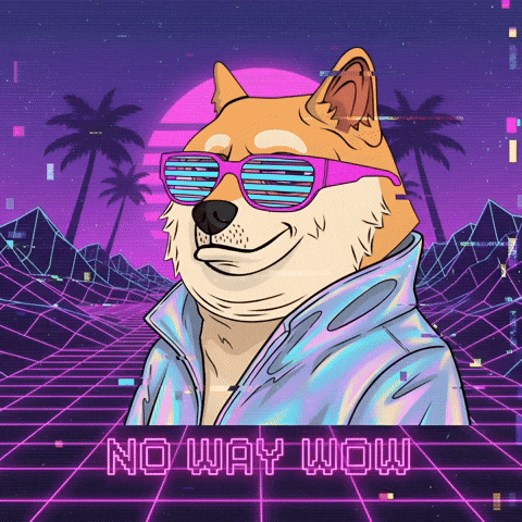 Awesome Shiba Inu GIF by Doge Pound