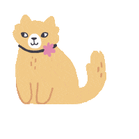 ruillu cat illustration cats kitty Sticker