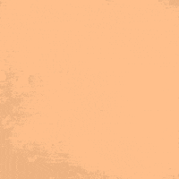 Voting Election 2020 GIF by INTO ACTION