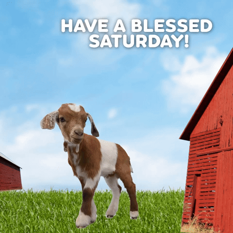 Have A Blessed Saturday!
