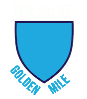 F45 Iceberg Sticker by F45 Golden Mile
