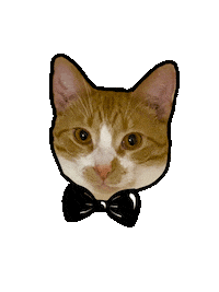 Cat Bowtie Sticker by ATDesignco
