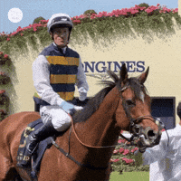Royal Ascot Yes GIF by World Horse Racing