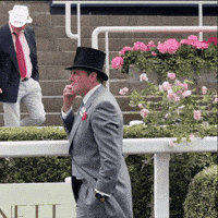 Bang Yes GIF by World Horse Racing