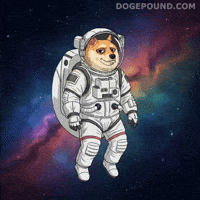 Floating Shiba Inu GIF by Doge Pound
