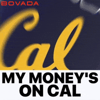 Uc Berkeley California GIF by Bovada