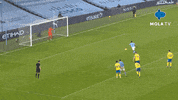 Disappointed Premier League GIF by MolaTV