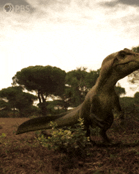 Walking With Dinosaurs Dinosaur GIF by PBS