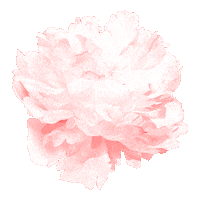 Flower Sticker by elan_cafe