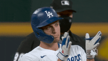 Major League Baseball Sport GIF by MLB