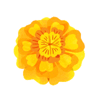 Vilore flower flor diademuertos marigold Sticker