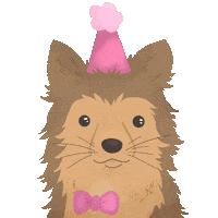 Happy Birthday Celebration Sticker by petall