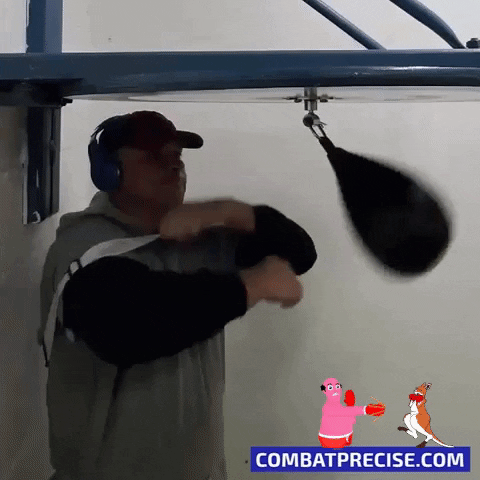 combat-precise-KO giphygifmaker giphyattribution boxing boxer GIF