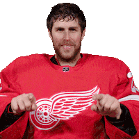 Swipe Up Ice Hockey Sticker by Detroit Red Wings
