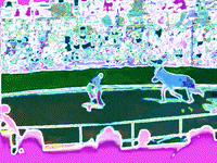 colors houston GIF by MFD
