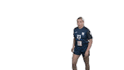 Sport-UnionNeckarsulm handball handball damen neckarsulm sunhandball Sticker