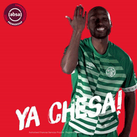 south african soccer GIF