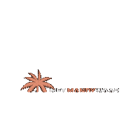 metmandynaarcuracao curacao mandyvanwillegen metmandynaarcuracao reismagazine Sticker
