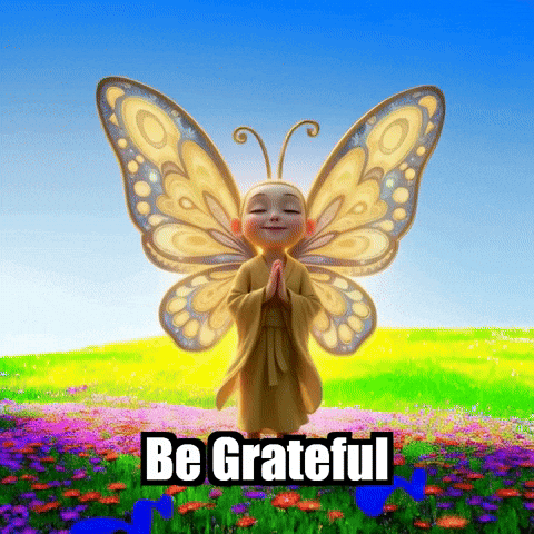 Wisdom Appreciation GIF by BuddhaFlyJourney