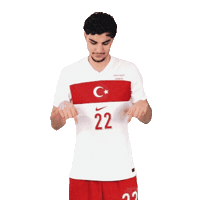 Ay Yildiz Millitakim Sticker by Kaan Ayhan