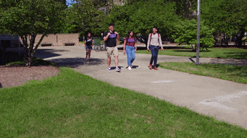 Friends College GIF by Western Illinois University
