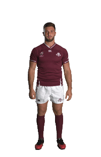 World Rugby Sticker by Rugby World Cup