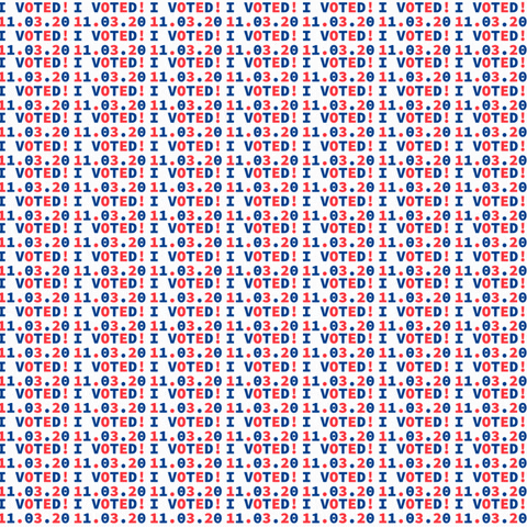 siegelgale giphyupload sticker vote election GIF