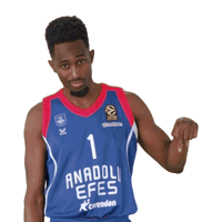 Click Euroleague Basketball Sticker by Anadolu Efes SK