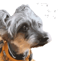 Yum Yum Sticker