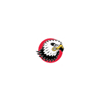 Logo Floorball Sticker by Storvreta IBK